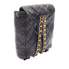 Chanel Medium Quilted Lambskin Duma Backpack Secondhand