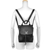 Louis Vuitton backpack