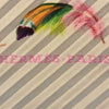 Hermès scarf