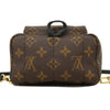 Louis Vuitton backpack
