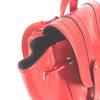 Louis Vuitton backpack