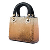 Secondhand Dior Mini Satin Sequin Gradient Lady Dior