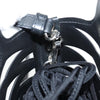 Balenciaga handbag