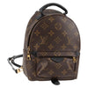 Louis Vuitton backpack