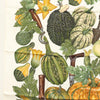Hermès scarf