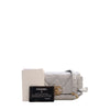 Chanel Metallic Lambskin 19 Belt Bag Secondhand