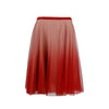 Secondhand Red Valentino Ombre Tulle A-line Skirt - '10s