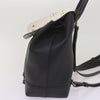 Louis Vuitton backpack