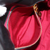 Miu Miu handbag