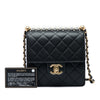 Chanel Small Quilted Goatskin Chic Pearls Flap Secondhand