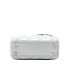 Secondhand Dior Mini Iridescent Lambskin Cannage Lady Dior