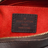 Louis Vuitton Damier Sauvage Tigre Secondhand