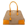 Prada Cinghiale Trimmed Canapa Dome Handbag Secondhand