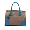 Prada Saffiano Trimmed Canvas Canapa Logo Double Zip Satchel Secondhand