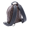 Louis Vuitton Monogram Reverse Palm Springs PM Secondhand