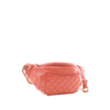 Chanel Crumpled Glazed Quilted Lambskin Classic Bi Waist Bag Secondhand