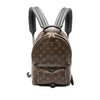 Louis Vuitton Monogram Palm Springs PM Secondhand