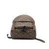 Louis Vuitton Monogram Palm Springs PM Secondhand