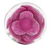 Secondhand Chanel CC Resin Camellia Clip On Earrings