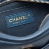 Chanel Small Quilted Metallic Goatskin Casual Trip Camera Bag Secondhand