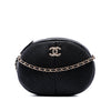 Chanel Chevron Lambskin Pleated Oval Camera Bag Secondhand