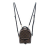 Louis Vuitton Monogram Mini Palm Springs Secondhand
