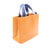 Louis Vuitton Leather Mini Shopper Tote Secondhand