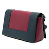 Celine Medium Shiny Smooth Calfskin Frame Shoulder Bag Secondhand