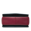 Celine Medium Shiny Smooth Calfskin Frame Shoulder Bag Secondhand