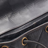 Chanel Medium Duma Backpack Secondhand
