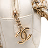 Chanel Quilted Lambskin All About Chains Camera Bag Secondhand