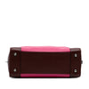 LOEWE Tricolor Goatskin Amazona 36 Secondhand