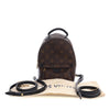 Secondhand Louis Vuitton Monogram Mini Palm Springs