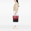 Celine Bicolor Lambskin Vertical Cabas Tote Secondhand