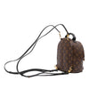 Louis Vuitton Monogram Mini Palm Springs Secondhand