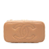 Chanel Small Quilted Lambskin Pillow Crush Vanity Case with Chain Secondhand