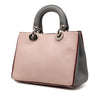 Secondhand Dior Mini Tricolor Leather Diorissimo Satchel