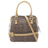 Fendi Zebra Print Canvas Satchel Secondhand