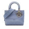 Dior Medium Embroidered Canvas Cannage Lady D Lite Secondhand