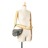 Dior Mini Oblique Canvas Saddle Bag Secondhand