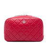 Chanel Medium Quilted Lambskin Curvy Cosmetic Pouch Secondhand