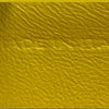 Celine Teen Shiny Calfskin Triomphe Crossbody Secondhand