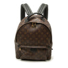 Louis Vuitton Monogram Palm Springs MM Secondhand