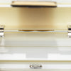 Fendi Mini Acrylic Vitello Trunk Baguette Crossbody Secondhand