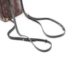 Louis Vuitton Monogram Mini Palm Springs Secondhand