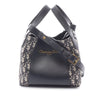 Dior Small Oblique Canvas and Leather Signature Bucket Bag Secondhand