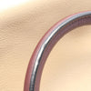 Secondhand LOEWE Tricolor Leather Amazona 28