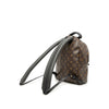 Louis Vuitton Monogram Palm Springs PM Secondhand