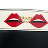 Prada City Calf and Saffiano Lip Print Esplanade Crossbody Secondhand