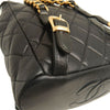 Chanel Medium Quilted Lambskin Duma Backpack Secondhand
